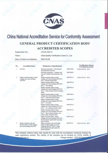 产品认证 CNAS C001-P 英文附件 (1)