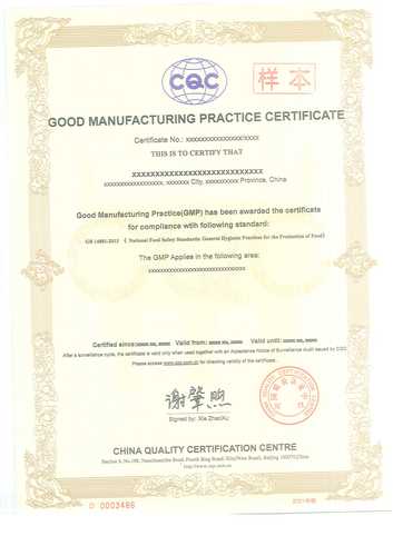 良好生产规范（GMP）认证证书样本（英）