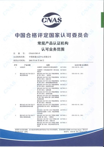 产品认证 CNAS C001-P 附件 (1)