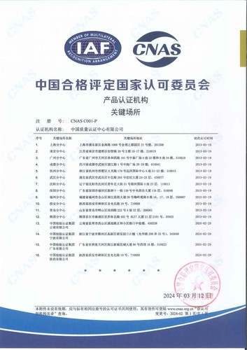 P 关键场所中文证书