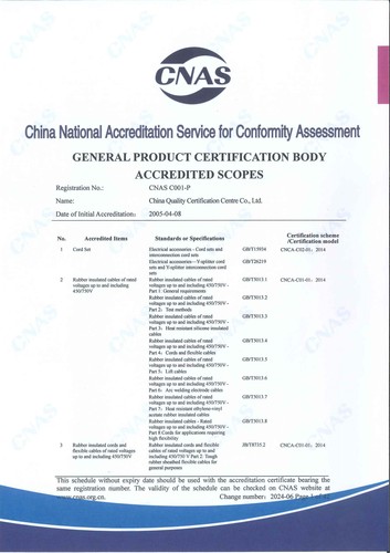 CNAS认可证书业务范围附件英文 (1)