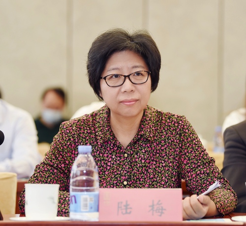 陆梅主任
