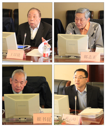 专家与课题负责人