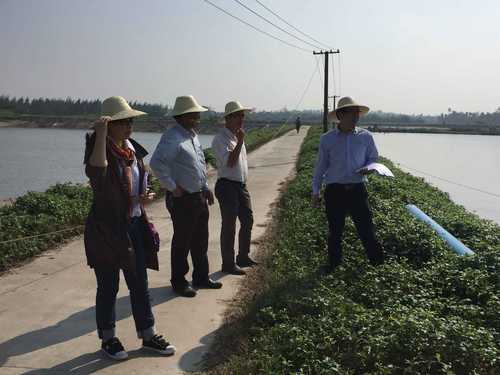 QQ图片20161220162548 QQ图片20161220162548