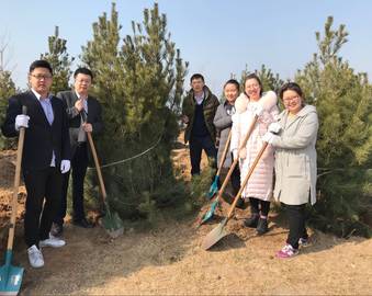 拥抱春天，绿色节能新生活----青岛分中心组织开展年度义务植树活动