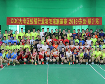 服务湾区 合作共赢——广州分中心举办2018大湾区线缆行业羽毛球联赛