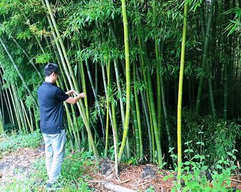 成都分中心赴盘州市竹海镇参与贵州省2019年单株碳汇精准扶贫基础工作