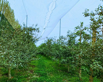 中心颁发首张ISO14090气候变化适应报告核查证书