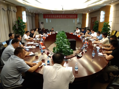 青岛分中心受邀参加山东省高端品牌培育企业工作座谈会