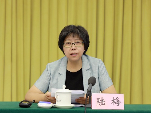 中检集团副总裁、中心主任陆梅作工作报告