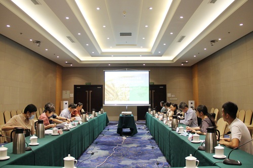 会议全景 会议全景