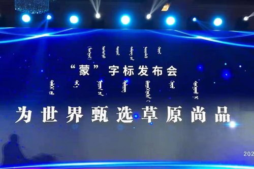 WechatIMG3125 WechatIMG3125