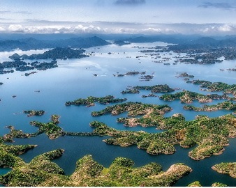 认证中心联合千岛鲁能胜地发布碳补偿机制，推动园区碳中和