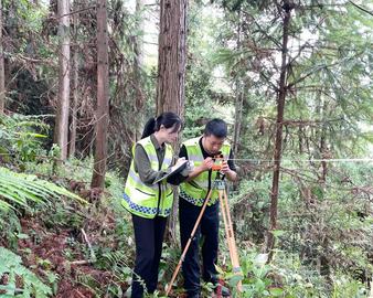 单株碳汇彰显生态价值 绿水青山赋能乡村振兴——认证中心生态价值评测业务操作中心开展贵州省单株碳汇核证工作