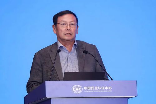 中国质量认证中心主办的首届新能源装备实证技术高质量发展研讨会在射阳召开 3