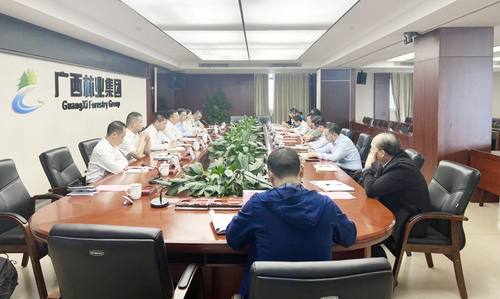 中国质量认证中心广州分中心赴广西开展“双碳”和新能源合作交流1