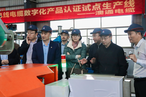 国家市场监督管理总局认证监督管理司领导一行赴中国质量认证中心电线电缆数字化产品认证试点生产线调研2