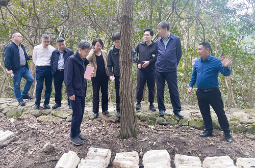 中国质量认证中心生态价值评测中心受邀参与国家发展和改革委员会生态产品价值实现机制专家委员会专题调研工作2