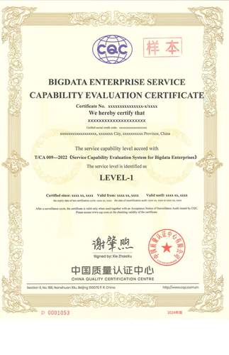 大数据企业服务能力评价证书_01