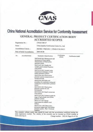 CNAS认可证书业务范围附件英文 (65)