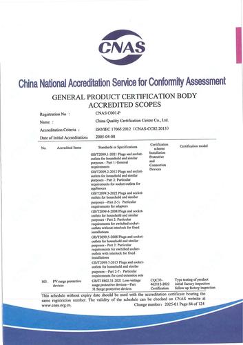 CNAS认可证书业务范围附件英文 (84)