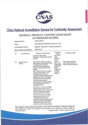 CNAS认可证书业务范围附件英文 (85)