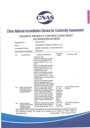 CNAS认可证书业务范围附件英文 (87)