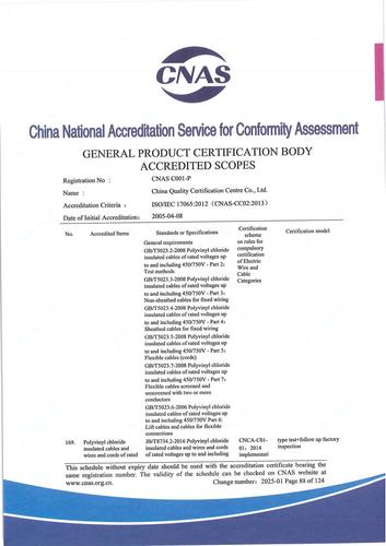 CNAS认可证书业务范围附件英文 (88)