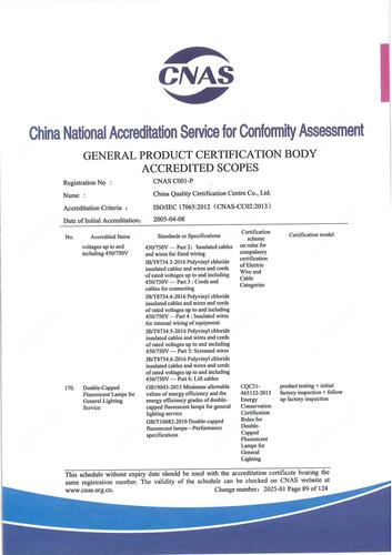 CNAS认可证书业务范围附件英文 (89)