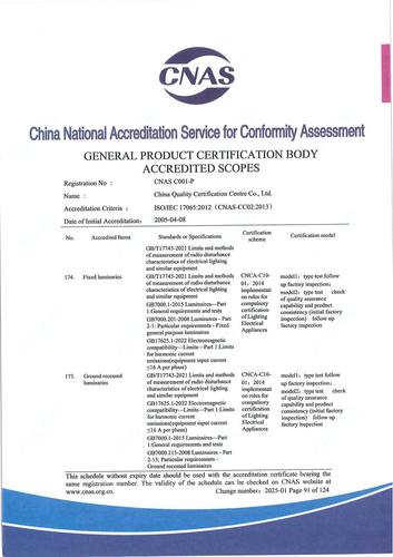 CNAS认可证书业务范围附件英文 (91)