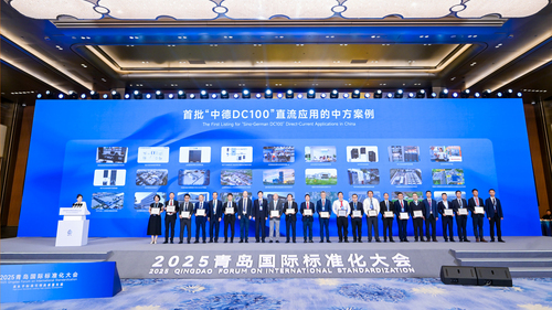 中国质量认证中心联合承办2025青岛国际标准化大会“新型能源与直流多元应用标准化”平行分会3