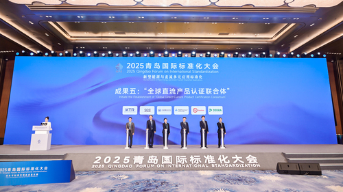 中国质量认证中心联合承办2025青岛国际标准化大会“新型能源与直流多元应用标准化”平行分会4